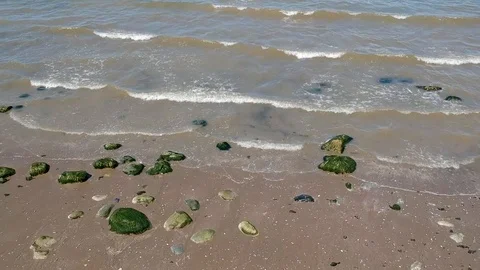 Drone | Panning Waves on Beach Video stock 93000296