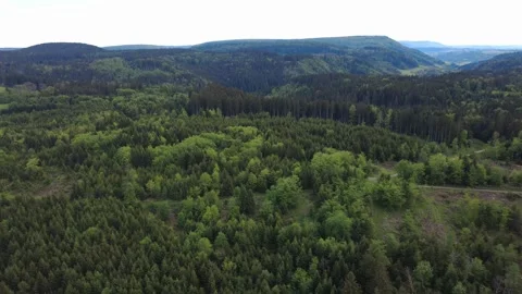 Drone panorama of green spring fields on a sunny day Stock Footage 336468045