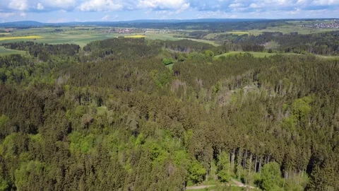 Drone panorama of green spring fields on a sunny day Stock Footage 336468057
