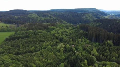Drone panorama of green spring fields on a sunny day Stock Footage 336468065