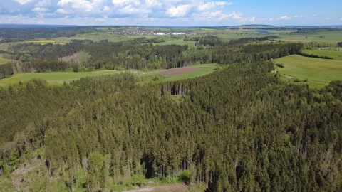 Drone panorama of green spring fields on a sunny day Stock Footage 336468076