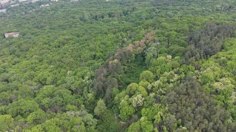 Drone Panorama Over Green Forest And Rugged Natural Cliffside Environment Vidéo 335067264