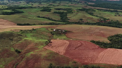 Drone Panorama of Patchwork Farmland and Forest Stock-Footage 336336533