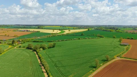 Drone panorama of thriving cereal fields and mixed arable farmland. Productive Stock Footage 337637289