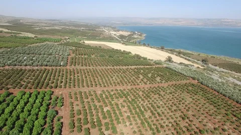 Drone panoramic overlook of fields near Church of Beatitudes. DJI-0219-18 Video stock 123355067