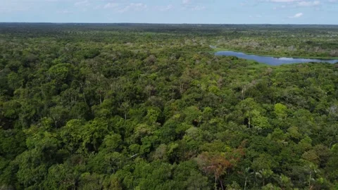 Drone panoramic shot above Amazon forest, Brazil 4K Video stock 156053108