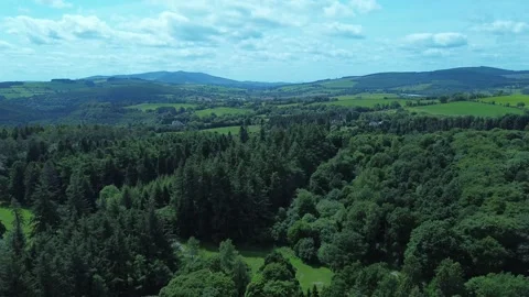 Drone panoramic view of verdant irish woodland and Wiclow mountains Stock Footage 311949633
