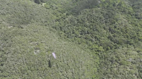 Drone pans left with pink paraglider flying below on a sunny day Video stock 326769792