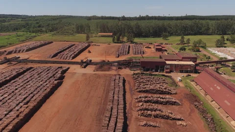 Drone pans over Industrial Forestry Large-scale pine log storage and processing Stock Footage 324791753
