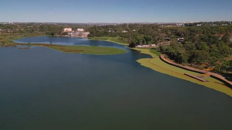 Drone parallax flight over invasive aquatic plants in Lake Paranoa, Brasilia Stock-Footage 342217694
