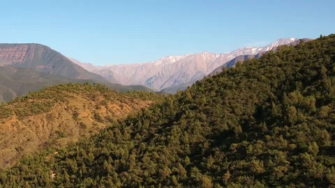 Drone parallax forward reveal above High Atlas forest ridges in the Ourika Stock Footage 337055843