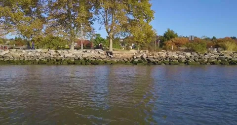 Drone in the Park 2 스톡 동영상 296430360