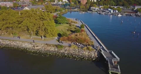 Drone in the Park 3 스톡 동영상 296430510