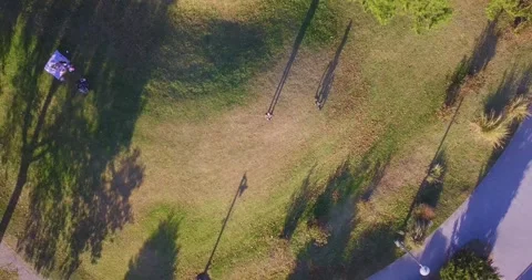 Drone in the Park 4 스톡 동영상 296430706