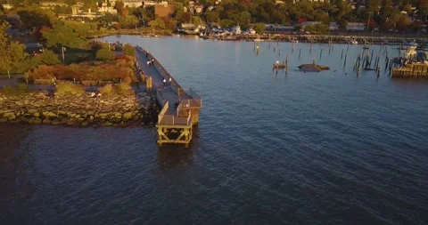 Drone in the Park 8 스톡 동영상 296431127