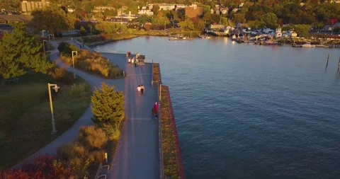 Drone in the Park 9 스톡 동영상 296431406