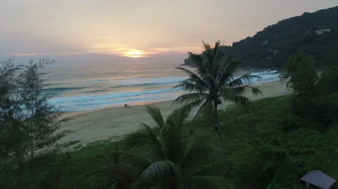 Drone pass the coconut treee at Karon beach Video stock 65968782