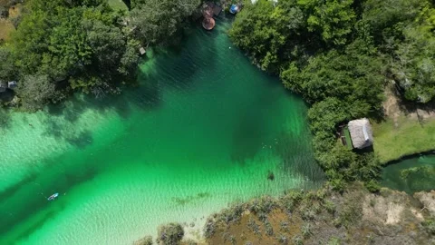Drone Pass Over a Remote Beach Surrounded by Dry Coastal Trees bacalar Stock Footage 322547515