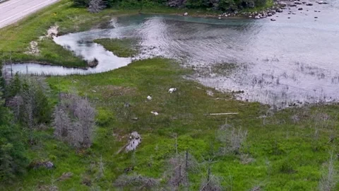 Drone passes above a patchwork of flooded marsh vegetation and weathered Stock Footage 344008969
