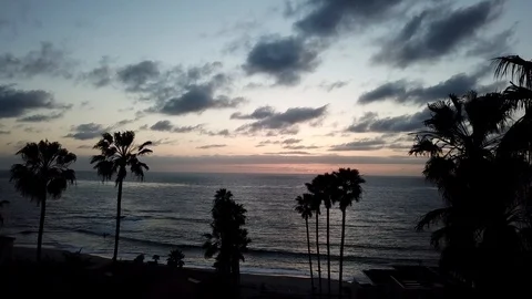 Drone passes through palm trees toward ocean after sunset Stock Footage 87959726
