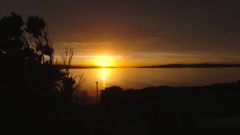 Drone passing between trees advancing toward sunset Vídeos de archivo 340992845