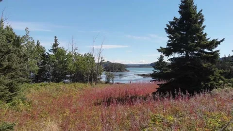 Drone passing through a beautiful landscape Stock Footage 142706594
