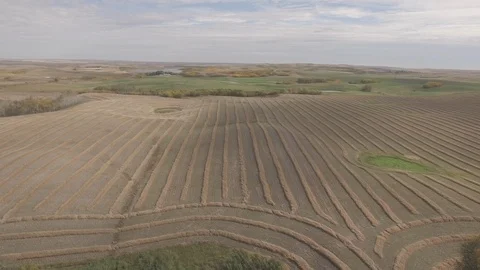 Drone Passover Alberta Field Video stock 92424960