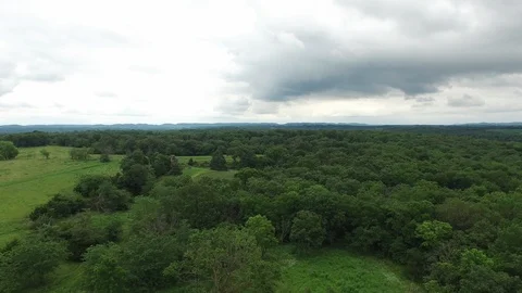 Drone Passover Forest Video stock 92425158
