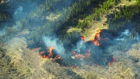Drone perspective of active fire burning on a rice paddy. Stock-Footage 343617270