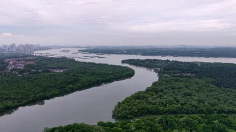 Drone perspective captures lush greenery at Sungai Melayu Johor Stock Footage 332208583