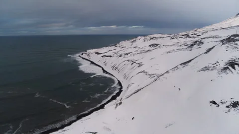 Drone Perspective of Iceland’s Winter Beach with Waves Carving the Ice Stock Footage 303835697