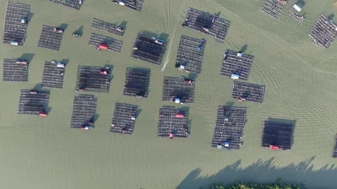 Drone perspective of Kukup kelong Video stock 332229058