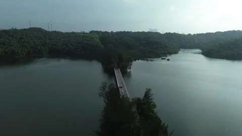 Drone perspective over serene lake, dense forest, and elegant bridge in the.. Video stock 326184740