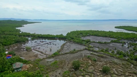 Drone perspective of the peaceful rural landscape around Lagay in Calauag 動画素材 345970150