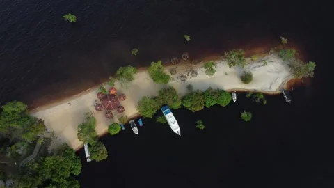 Drone Perspective of a Pristine Freshwater Shore in the Amazon Stock Footage 336911989