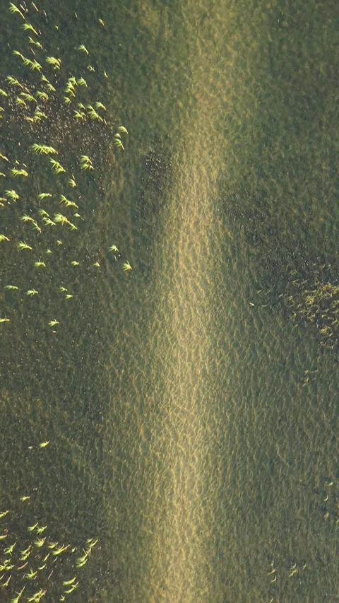 Drone perspective of a pristine lake with crystal-clear water revealing the 動画素材 315220887