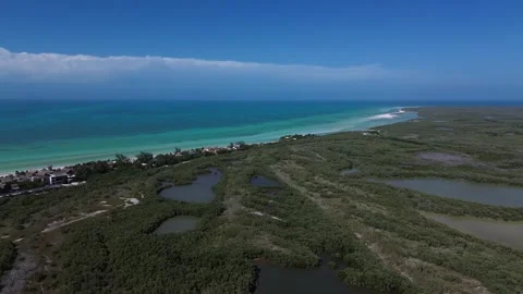Drone perspective of a protected mangrove ecosystem, Holbox Mexico Stock Footage 331520003