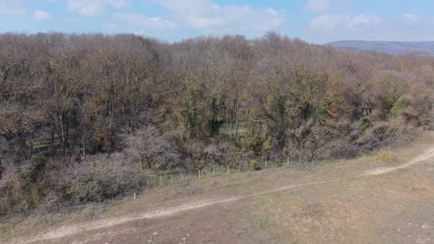 Drone perspective of road along coastline with beach and vegetation Video stock 331712700