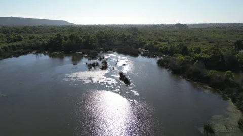 Drone Perspective of Tijuana River Valley Wastewater Disaster Stock Footage 327568725