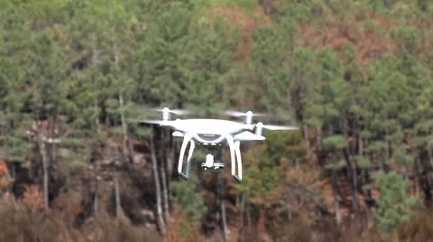 Drone Phantom 4 Flying Over Forest Video stock 67847725