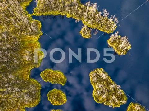 Drone Photo of Colorful Moorland in Early Summer Sunrise Stock Photos