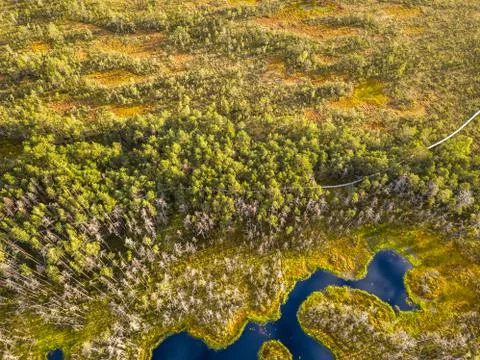 Drone Photo of Colorful Moorland in Early Summer Sunrise Stock Photos
