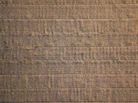 Drone Photo of the Freshly Cultivated Field with Texture Stock Photos