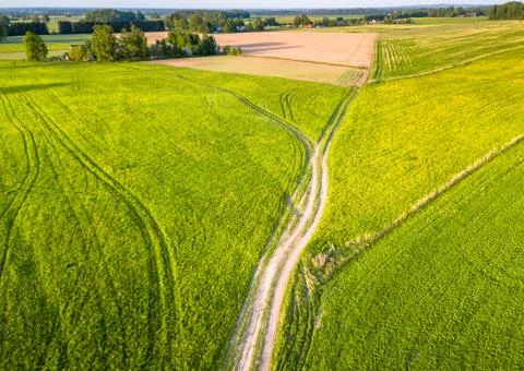 Drone Photo of the Road Between Fields in Colorful Early Spring - Surrounded Stock-Fotos