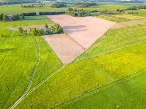 Drone Photo of the Road Between Fields in Colorful Early Spring - Surrounded Stock-Fotos