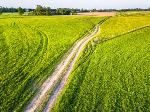 Drone Photo of the Road Between Fields in Colorful Early Spring - Surrounded Stock-Fotos