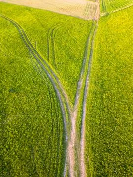 Drone Photo of the Road Between Fields in Colorful Early Spring - Surrounded Stock-Fotos