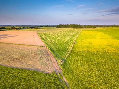 Drone Photo of the Road Between Fields in Colorful Early Spring - Surrounded Photos