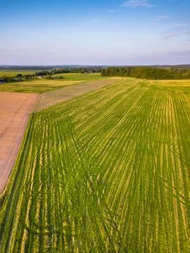 Drone Photo of the Road Between Fields in Colorful Early Spring - Surrounded Stock-Fotos