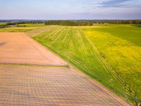 Drone Photo of the Road Between Fields in Colorful Early Spring - Surrounded Stock-Fotos